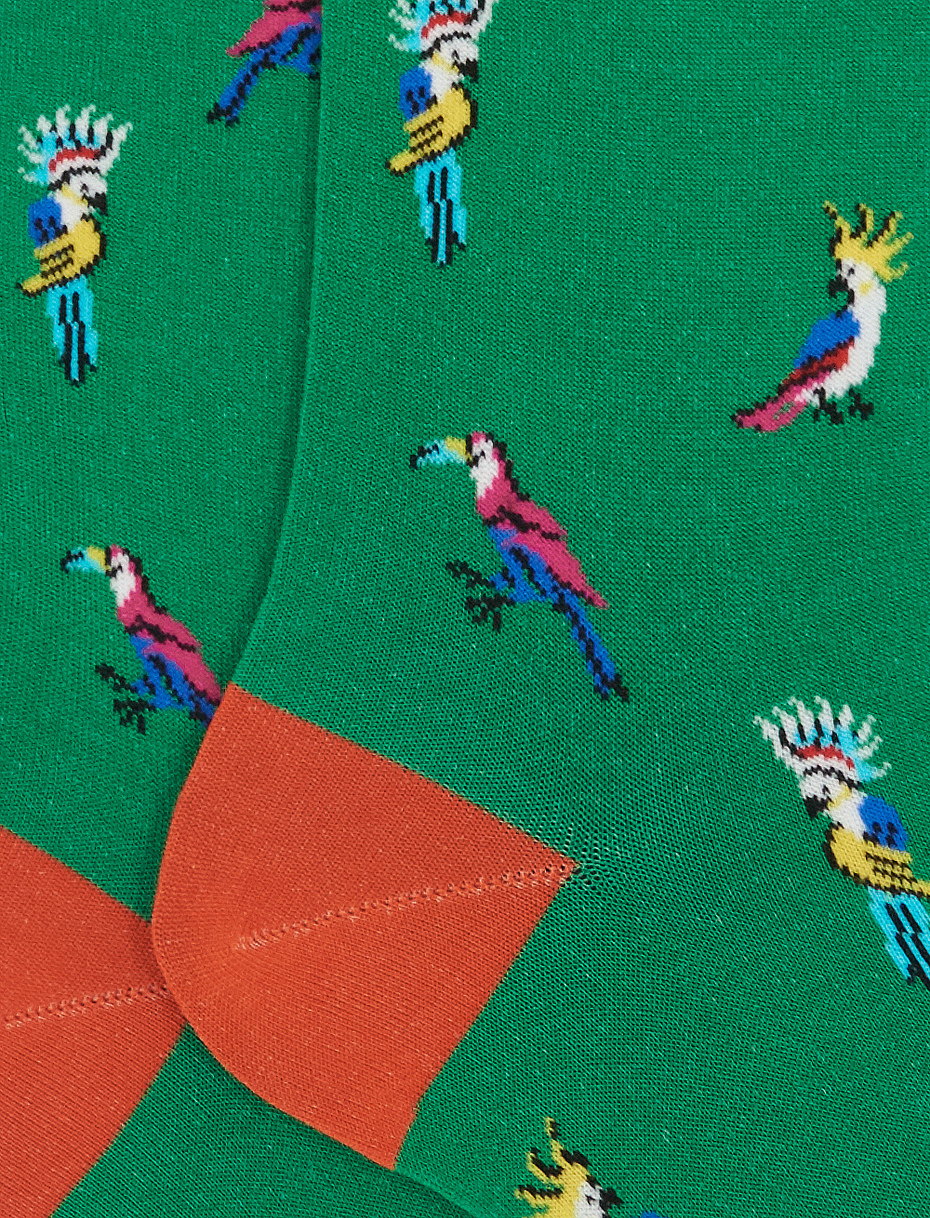 Women's long shamrock green ultra-light cotton socks with cockatoo/toucan motif - Gallo 1927 - Official Online Shop