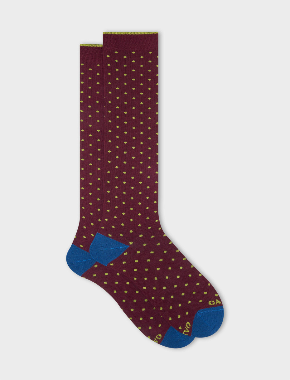 Men's long burgundy cotton socks with polka dots - Gallo 1927 - Official Online Shop