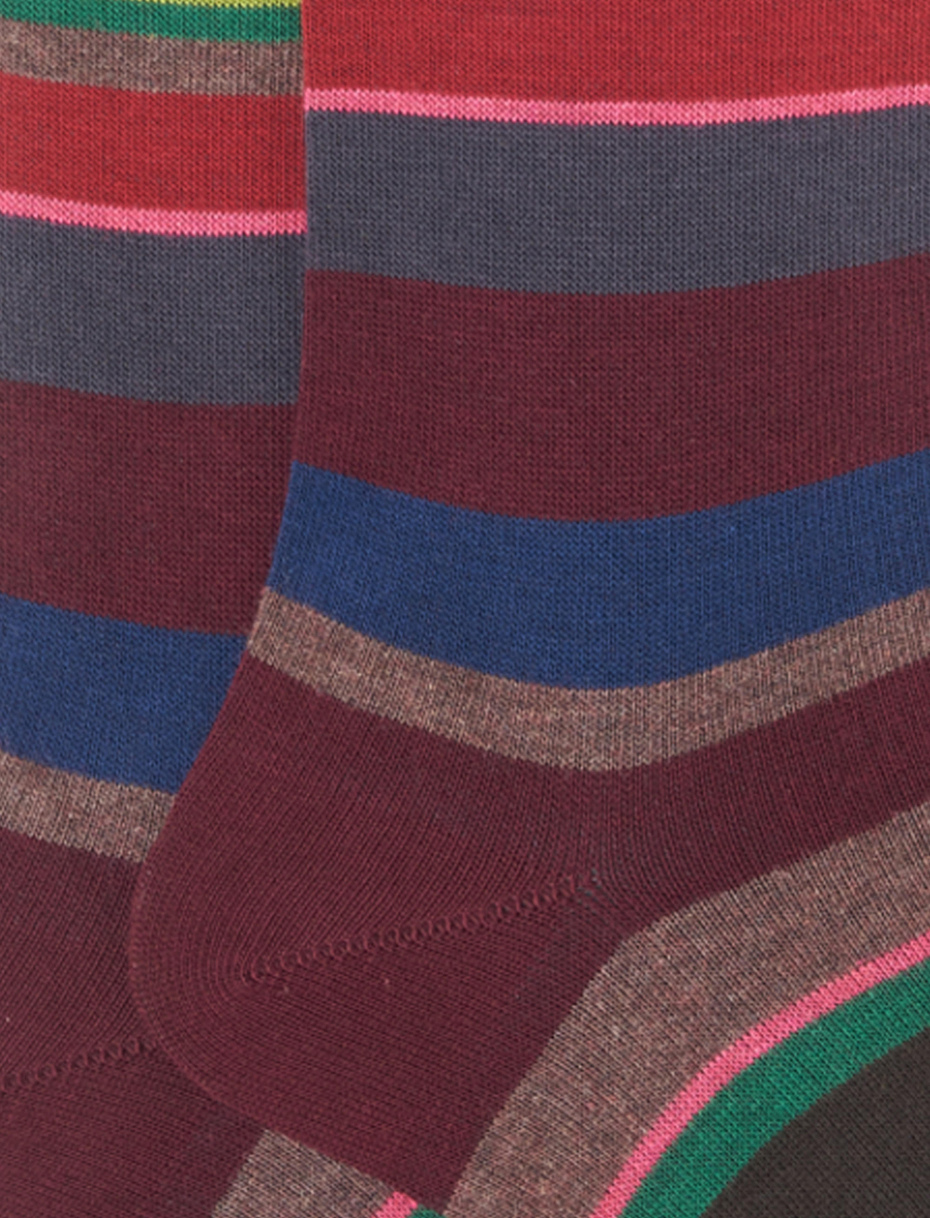 Men's long burgundy cotton socks with multicoloured stripes - Gallo 1927 - Official Online Shop