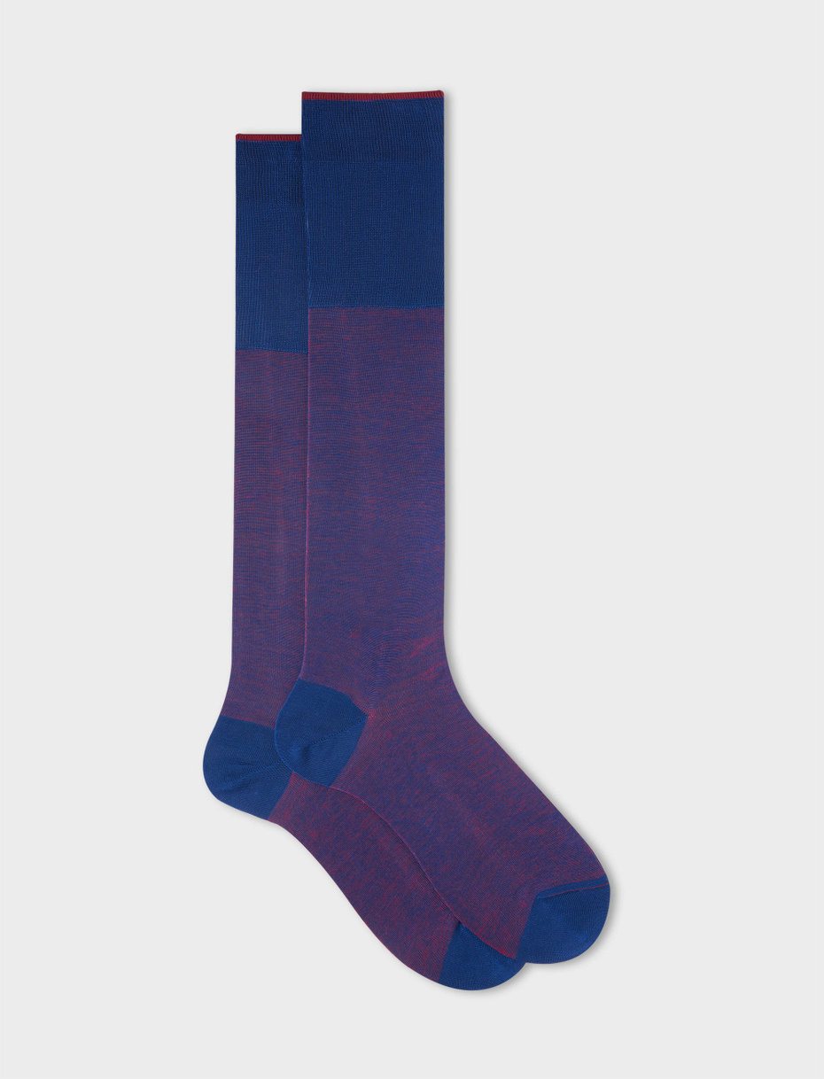 Men's long royal/poppy cotton socks with iridescent motif - Gallo 1927 - Official Online Shop