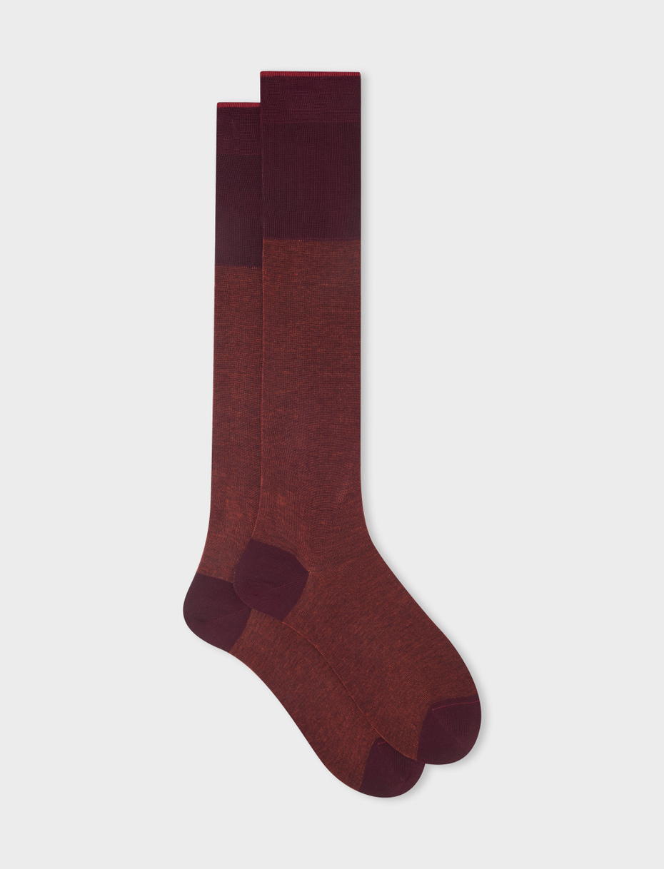 Men's long burgundy cotton socks with iridescent motif - Gallo 1927 - Official Online Shop