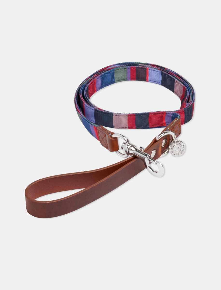 Blue/iris polyester dog leash with multicoloured stripes - Gallo 1927 - Official Online Shop