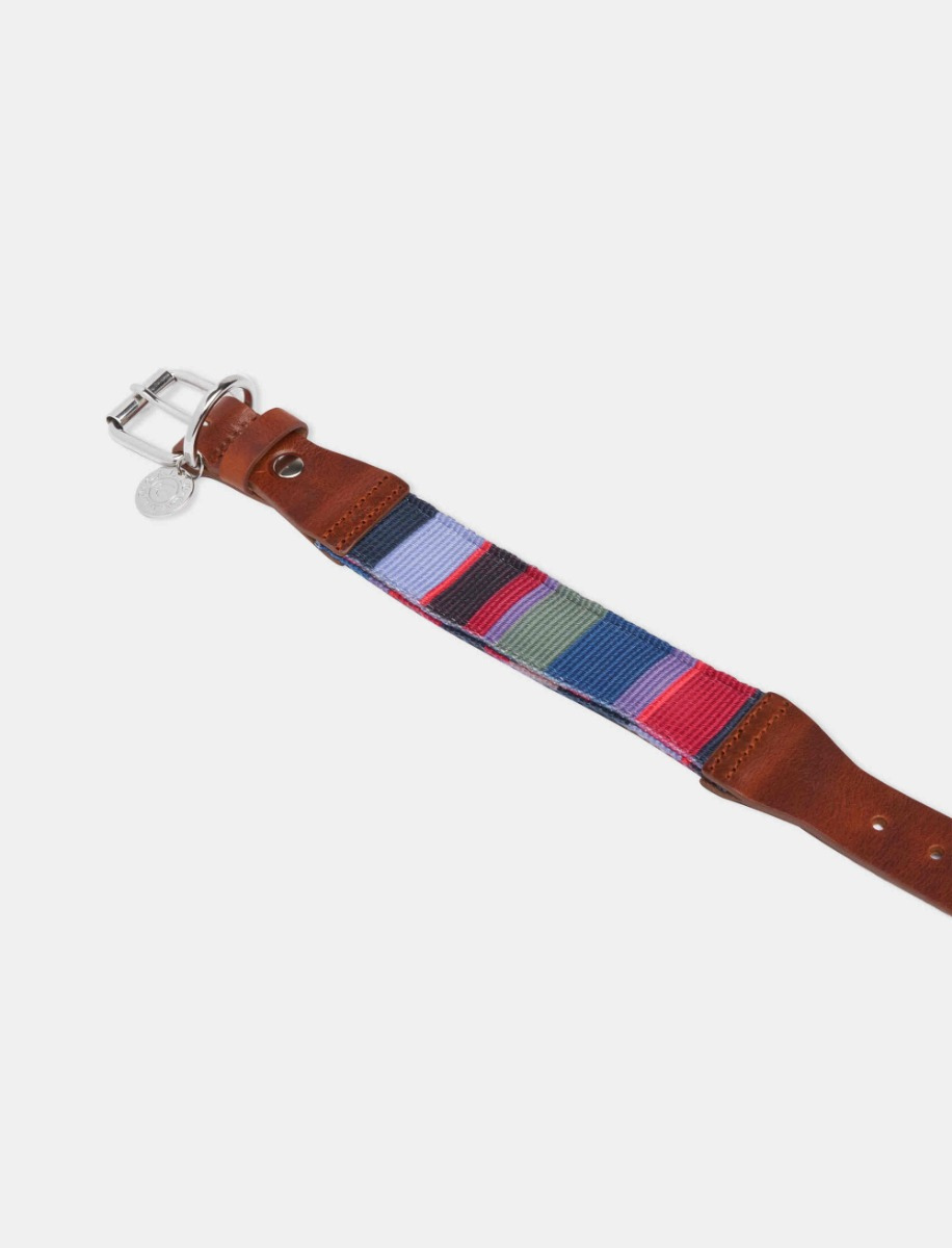 Blue/iris 5 cm polyester dog collar with multicoloured stripes - Gallo 1927 - Official Online Shop