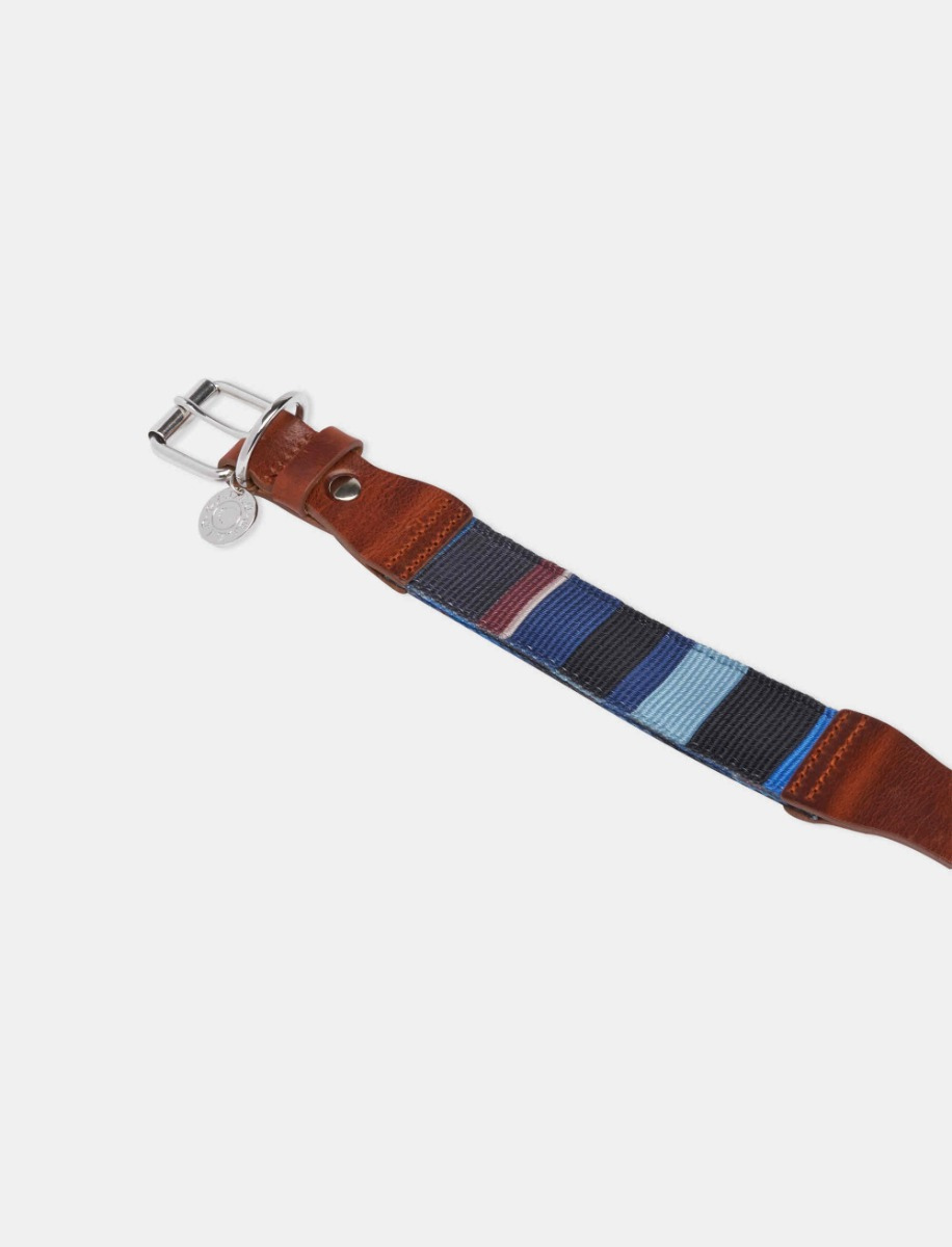 Collare cani alto 5 cm in poliestere blu/sabbia righe multicolor - Gallo 1927 - Official Online Shop