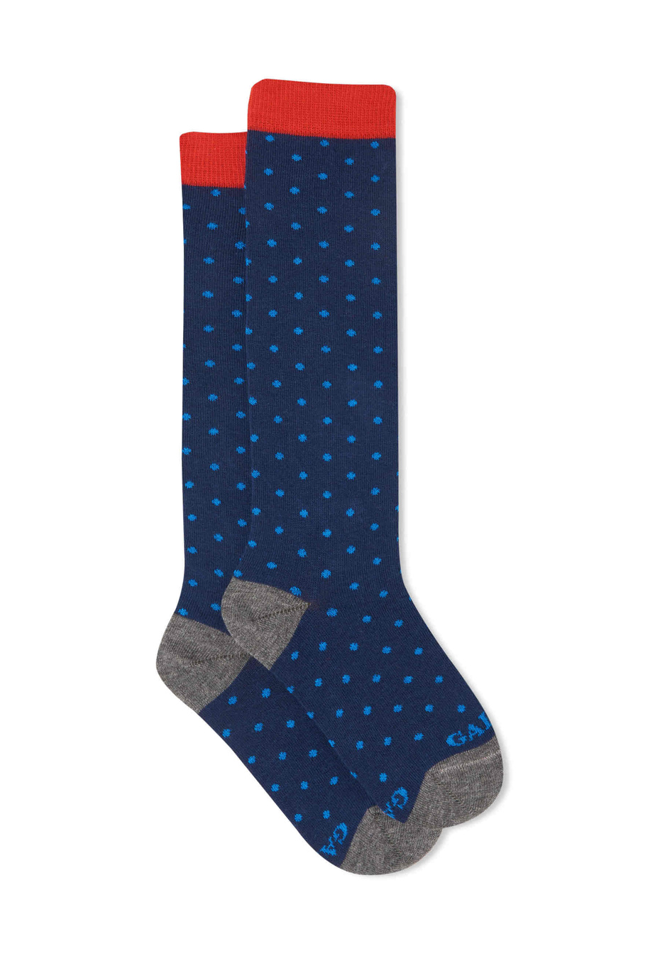 Kids' long royal cotton socks with polka dots - Gallo 1927 - Official Online Shop