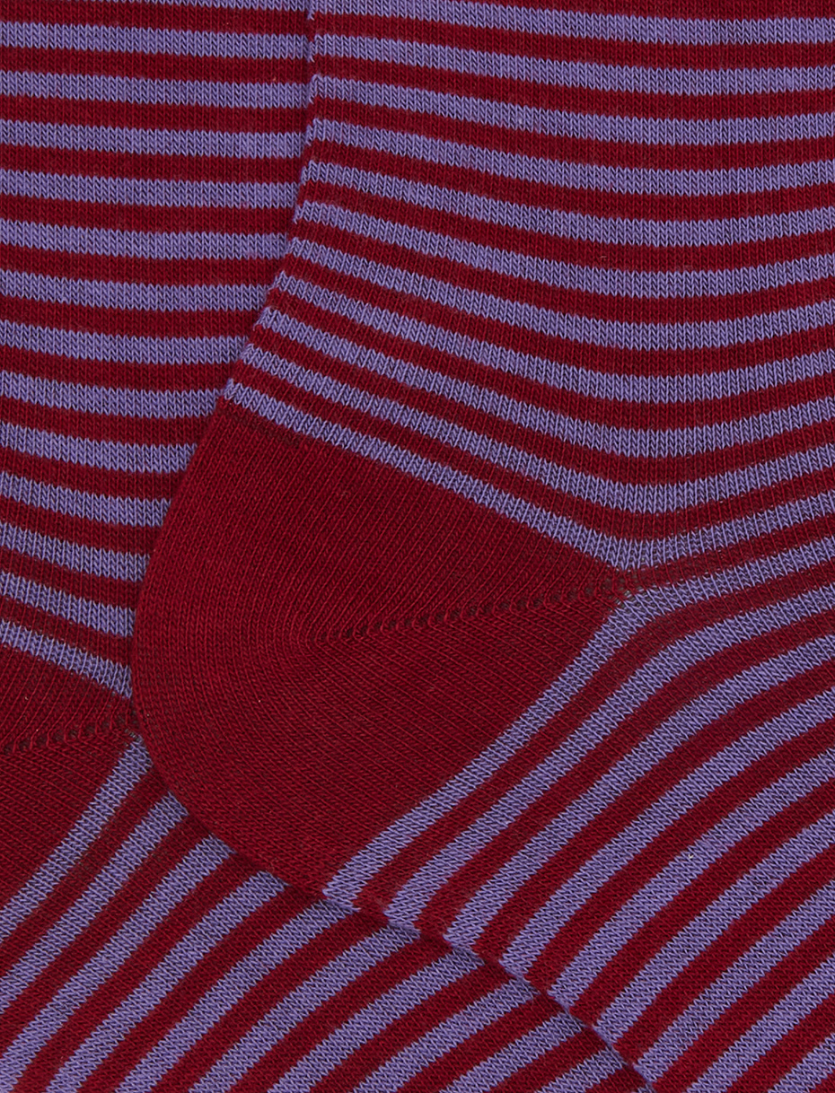 Women's short burgundy cotton socks with Windsor stripes - Gallo 1927 - Official Online Shop