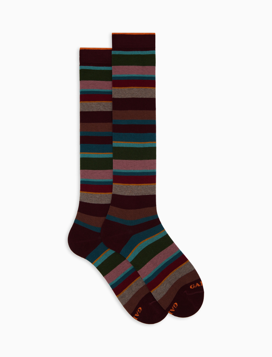 Women's long burgundy cotton socks with multicoloured stripes - Gallo 1927 - Official Online Shop