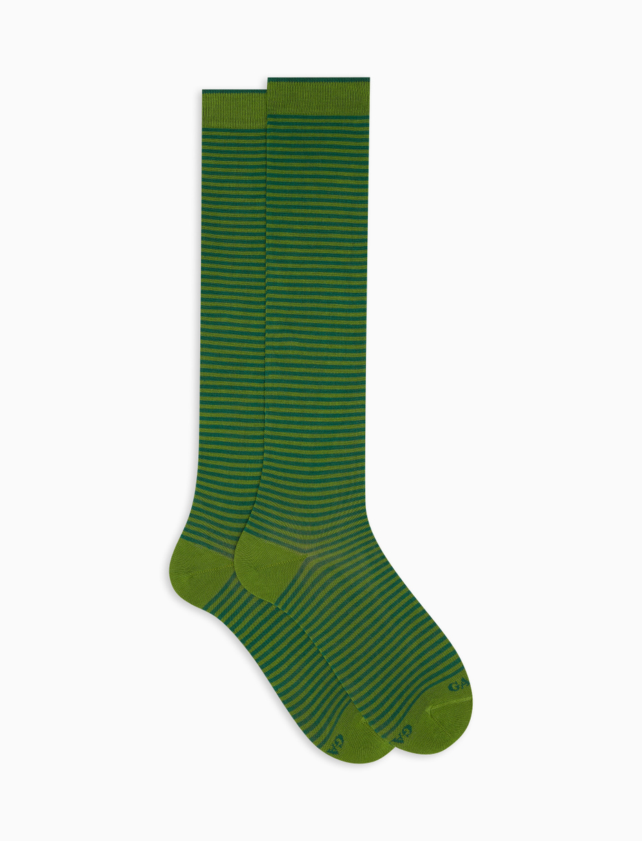 Women's long cactus light cotton socks with Windsor stripes - Gallo 1927 - Official Online Shop