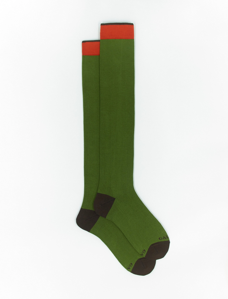 Men's long plain leaf green cotton and cashmere socks with contrasting details - Gallo 1927 - Official Online Shop