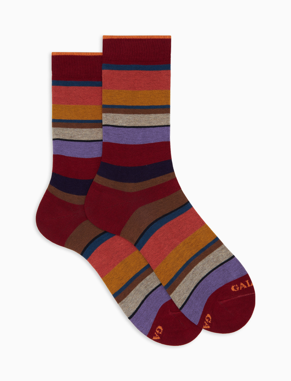 Men's short burgundy cotton socks with multicoloured stripes - Gallo 1927 - Official Online Shop
