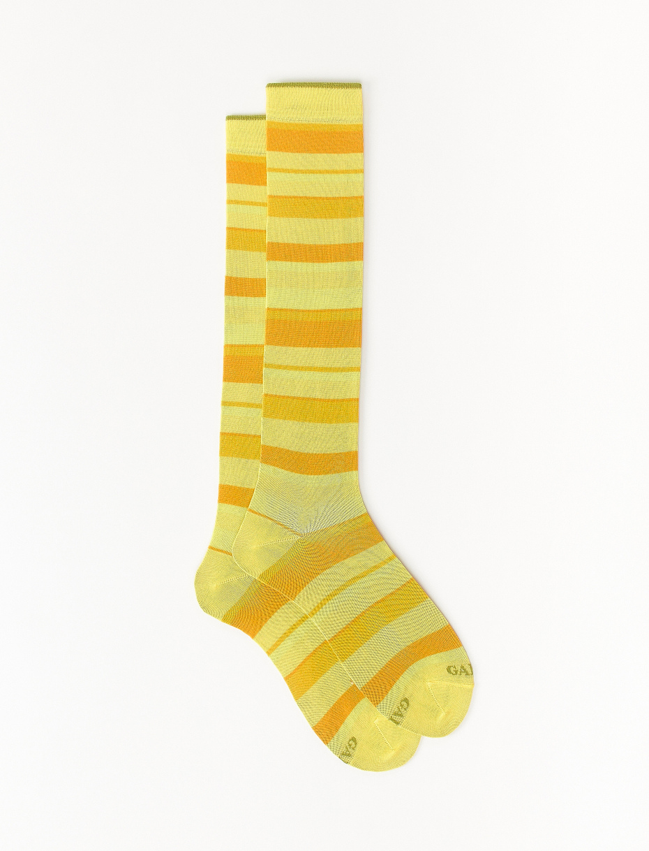 Men's long corn yellow light cotton socks with multicoloured stripes - Gallo 1927 - Official Online Shop