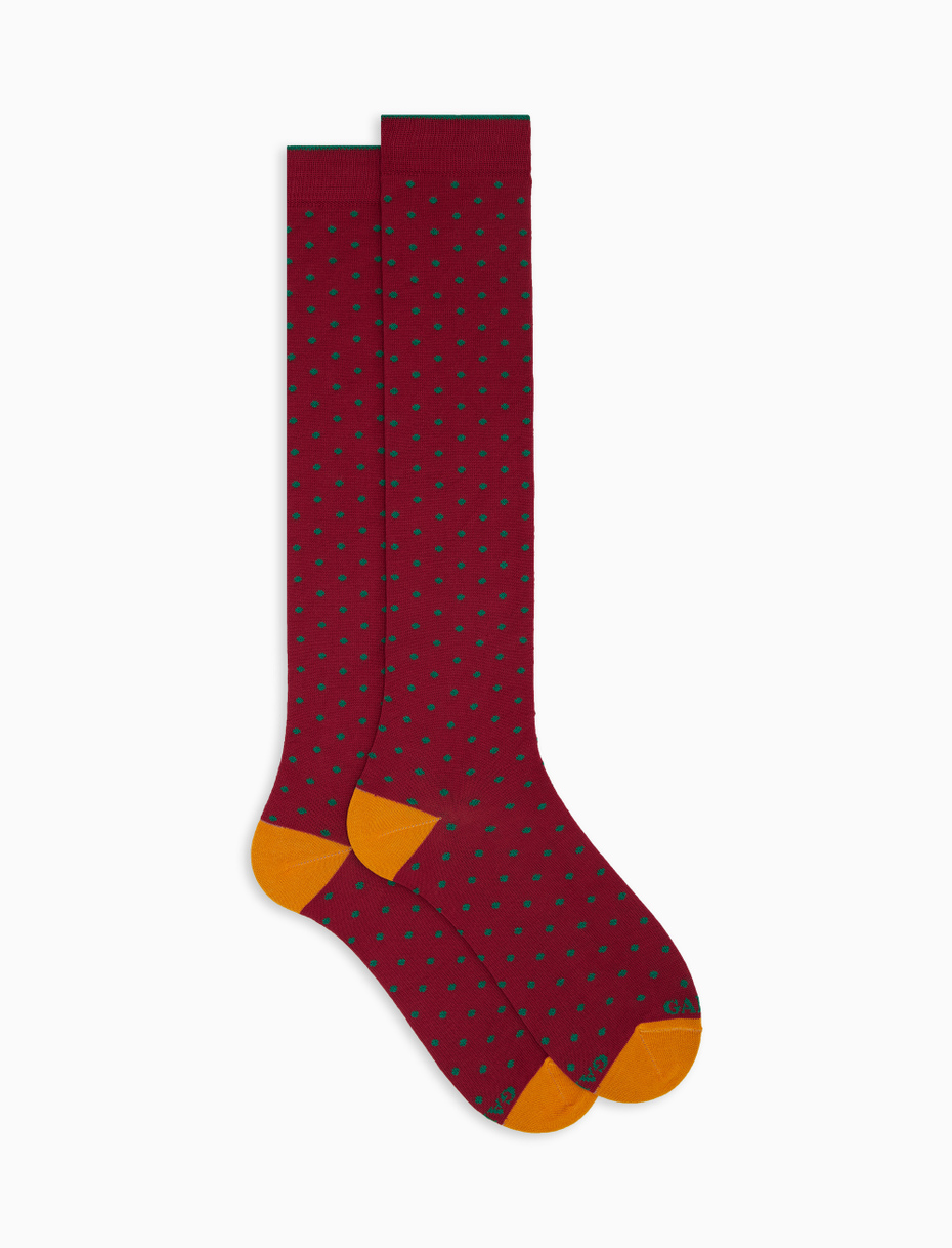Men's long red cotton socks with polka dot pattern - Gallo 1927 - Official Online Shop