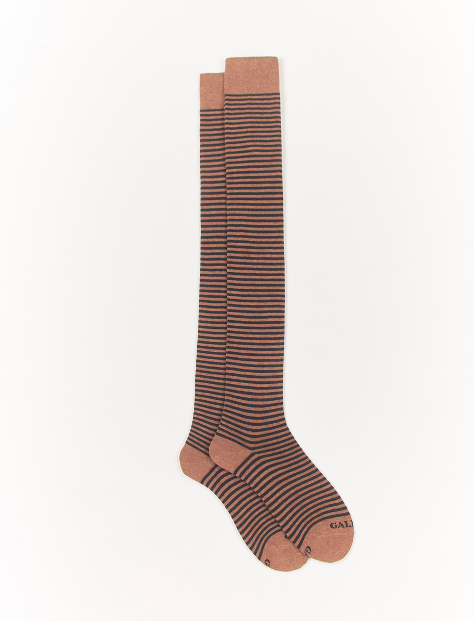 Women's thigh-high walnut cotton socks with Windsor stripes - Gallo 1927 - Official Online Shop