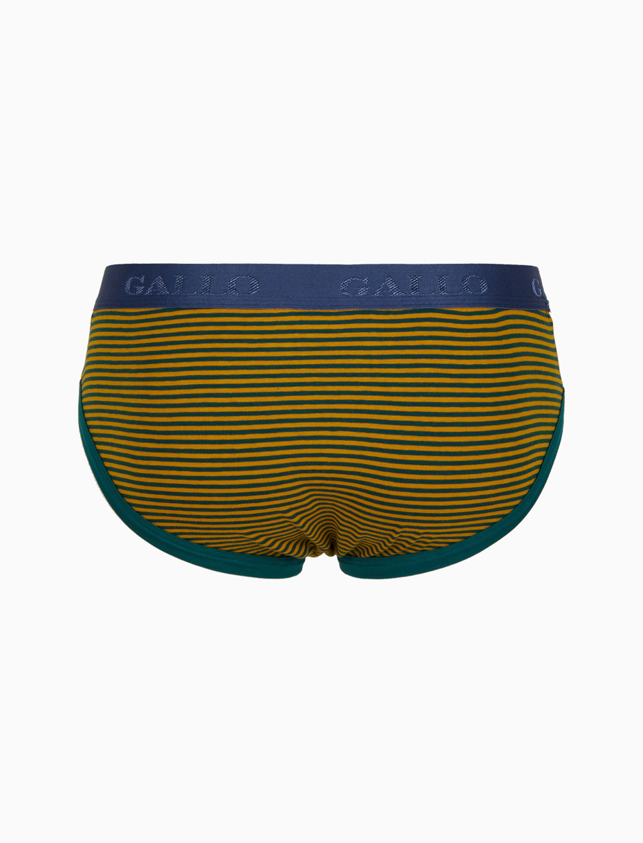 Men's green cotton briefs with Windsor stripes - Gallo 1927 - Official Online Shop