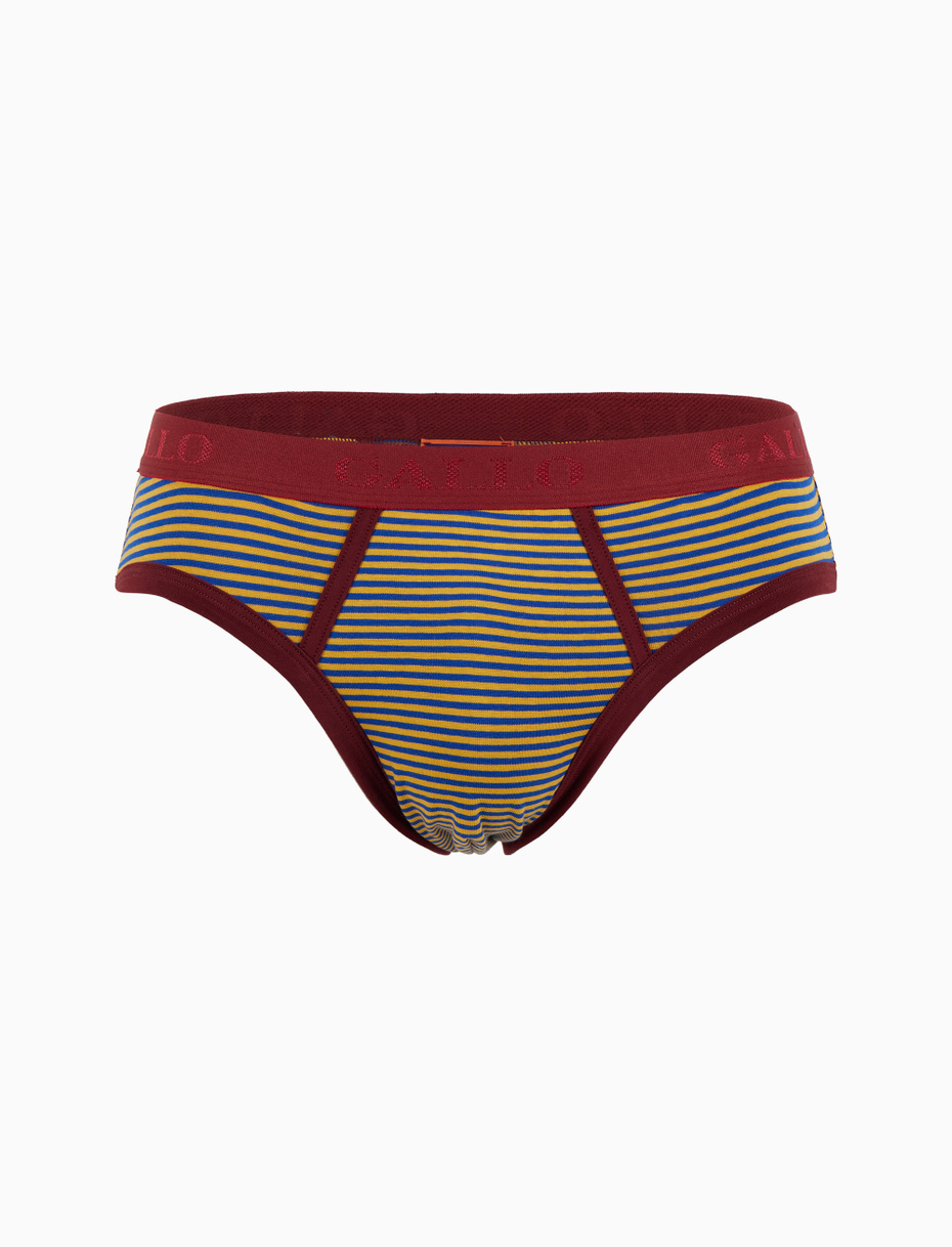 Men's blue cotton briefs with Windsor stripes - Gallo 1927 - Official Online Shop