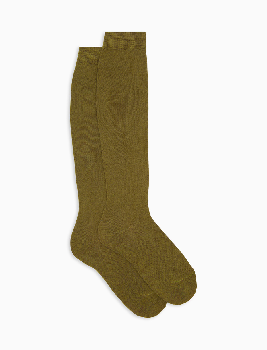 Women's long plain green cotton socks - Gallo 1927 - Official Online Shop