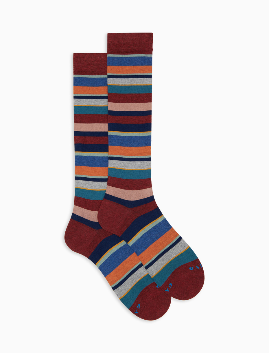Women's long burgundy cotton socks with multicoloured stripes - Gallo 1927 - Official Online Shop