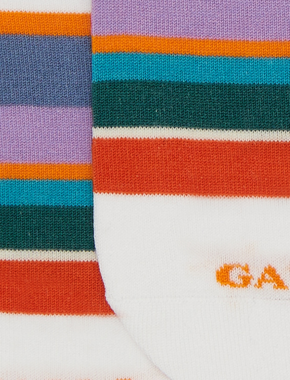 Men's white cotton invisible socks with multicoloured stripes - Gallo 1927 - Official Online Shop
