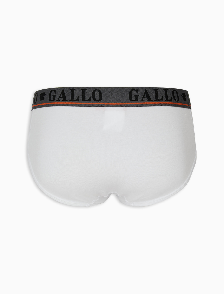 Slip basico intimo cotone bianco tinta unita - Gallo 1927 - Official Online Shop