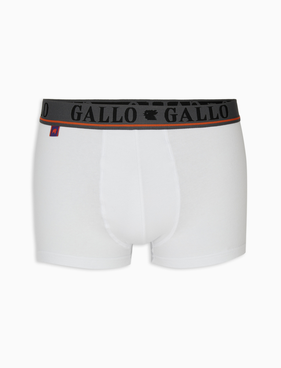 Men's white cotton boxer shorts - Gallo 1927 - Official Online Shop