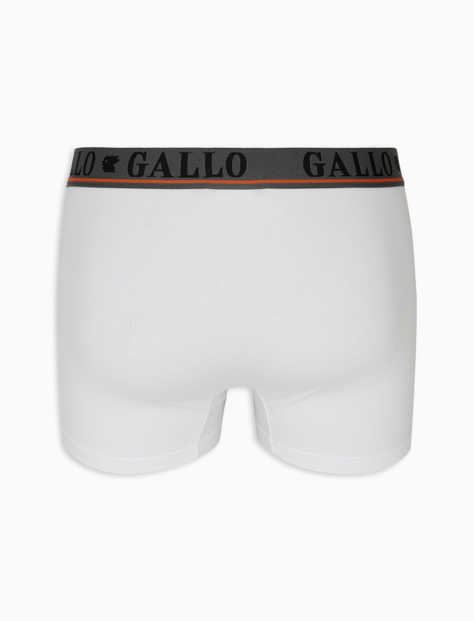 Men's white cotton boxer shorts - Gallo 1927 - Official Online Shop