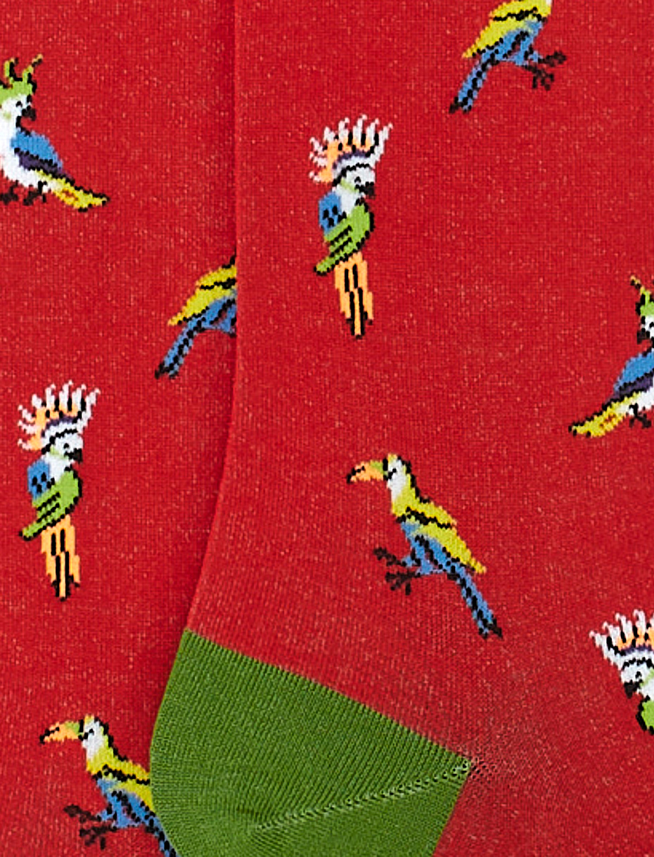 Women's long brick red ultra-light cotton socks with cockatoo/toucan motif - Gallo 1927 - Official Online Shop