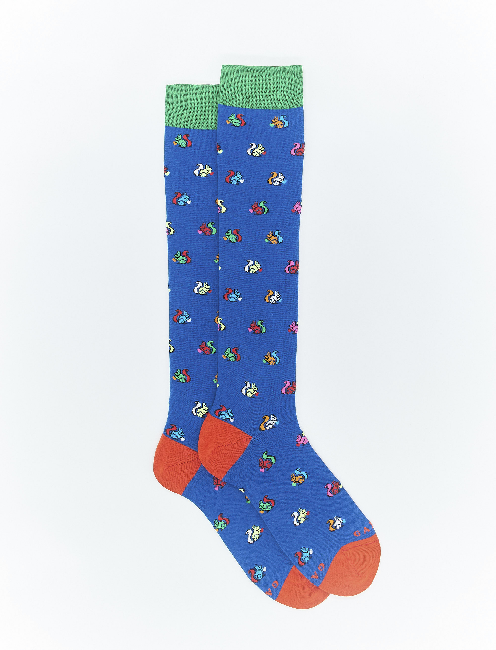 Women's long cosmos blue light cotton socks with squirrel motif - Gallo 1927 - Official Online Shop
