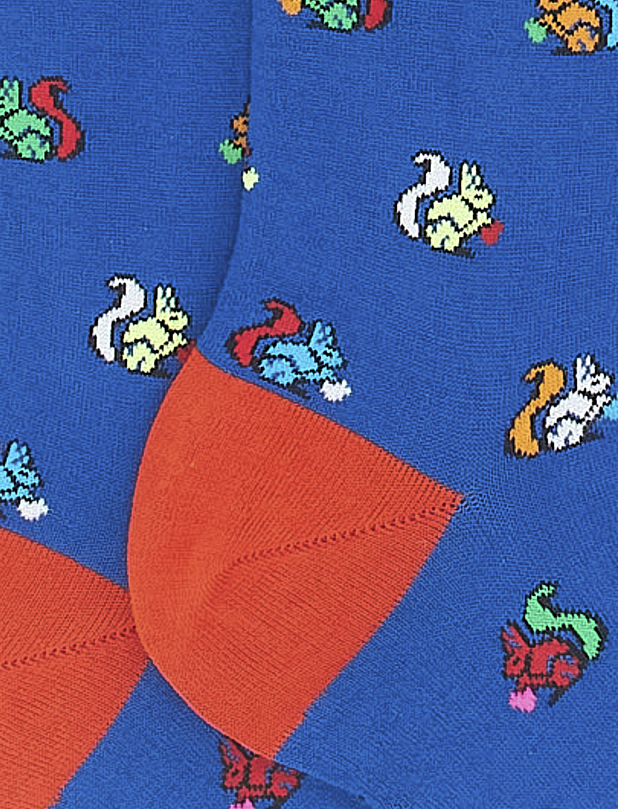 Women's long cosmos blue light cotton socks with squirrel motif - Gallo 1927 - Official Online Shop