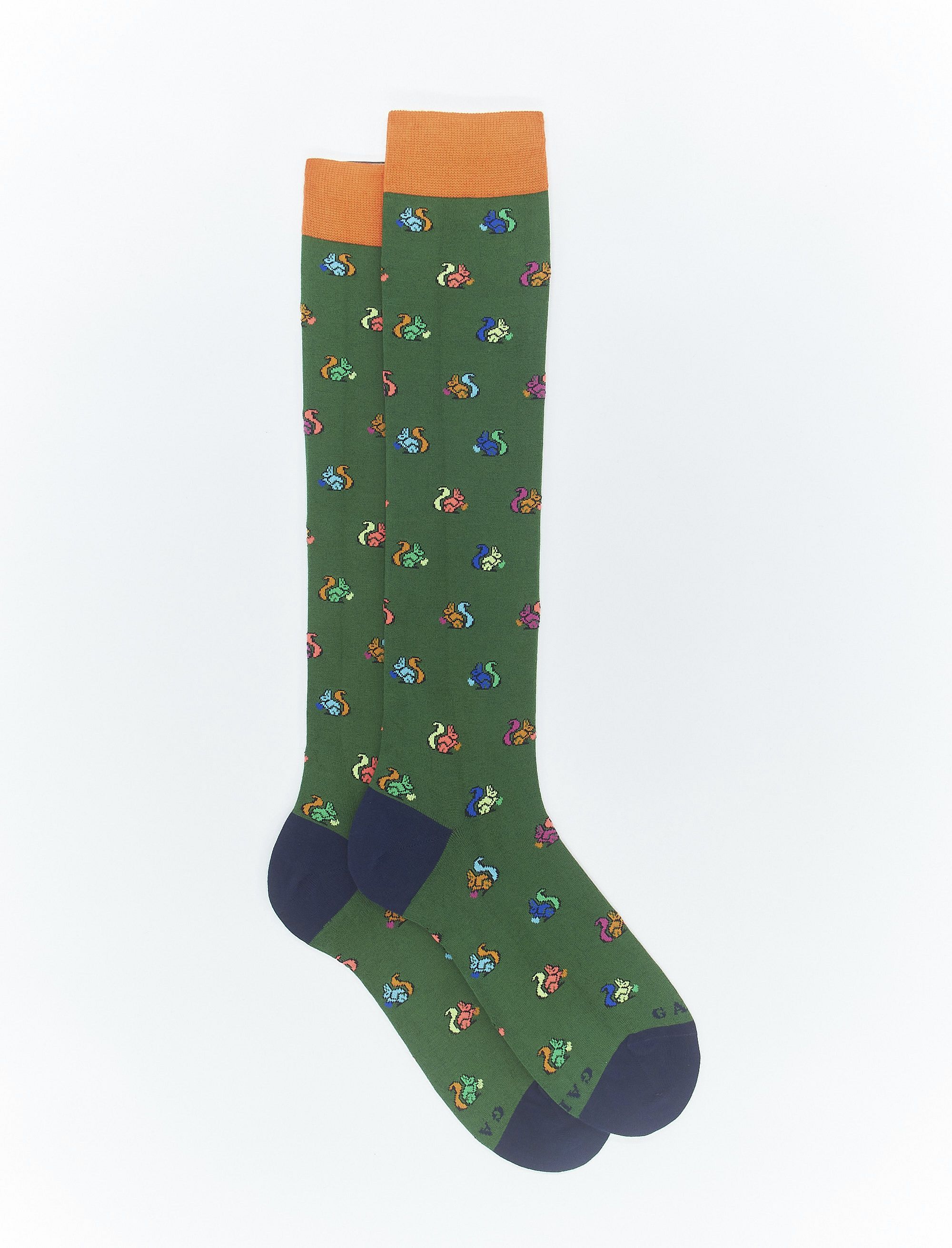 Women's long billiard green light cotton socks with squirrel motif - Gallo 1927 - Official Online Shop