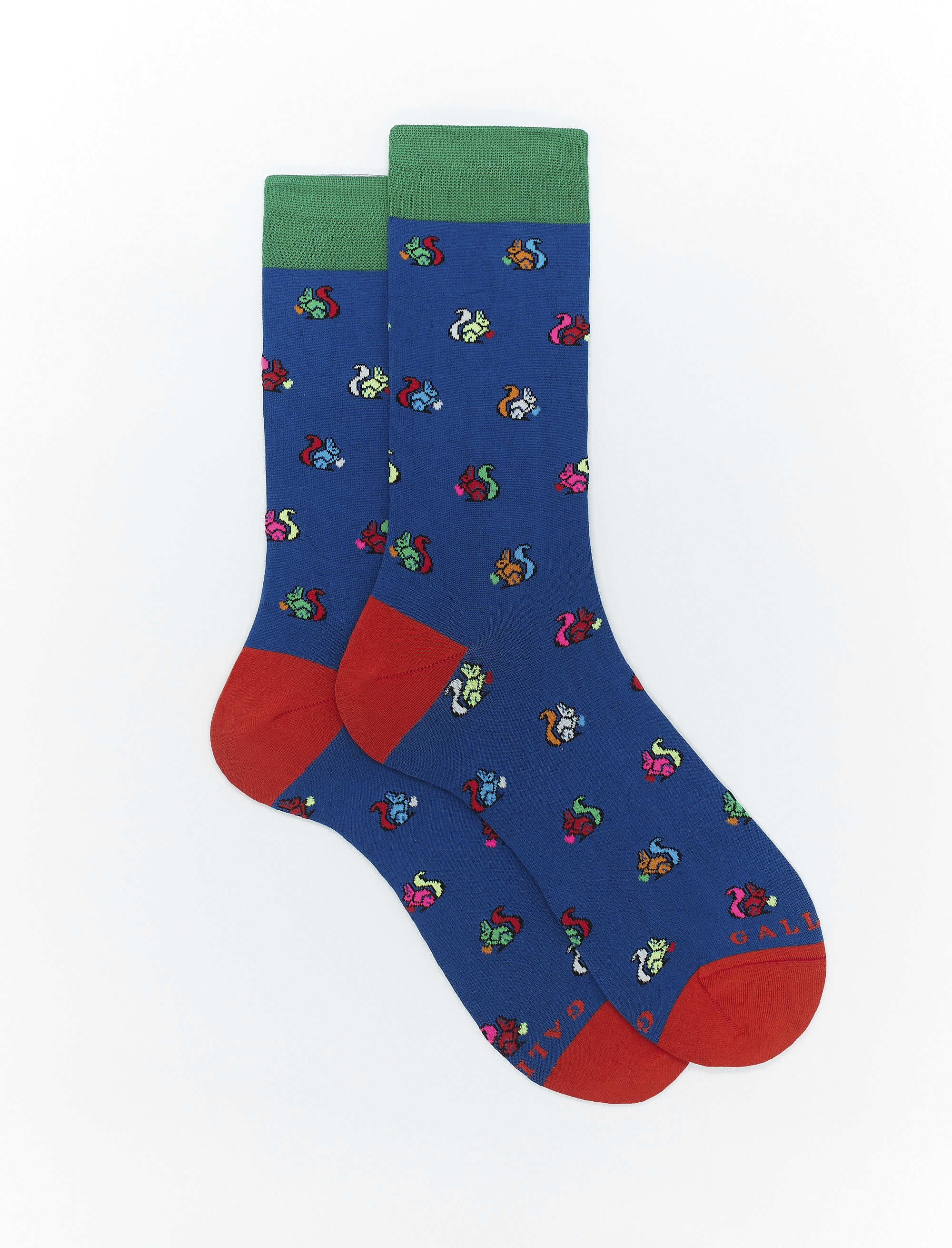 Women's short cosmos blue light cotton socks with squirrel motif - Gallo 1927 - Official Online Shop