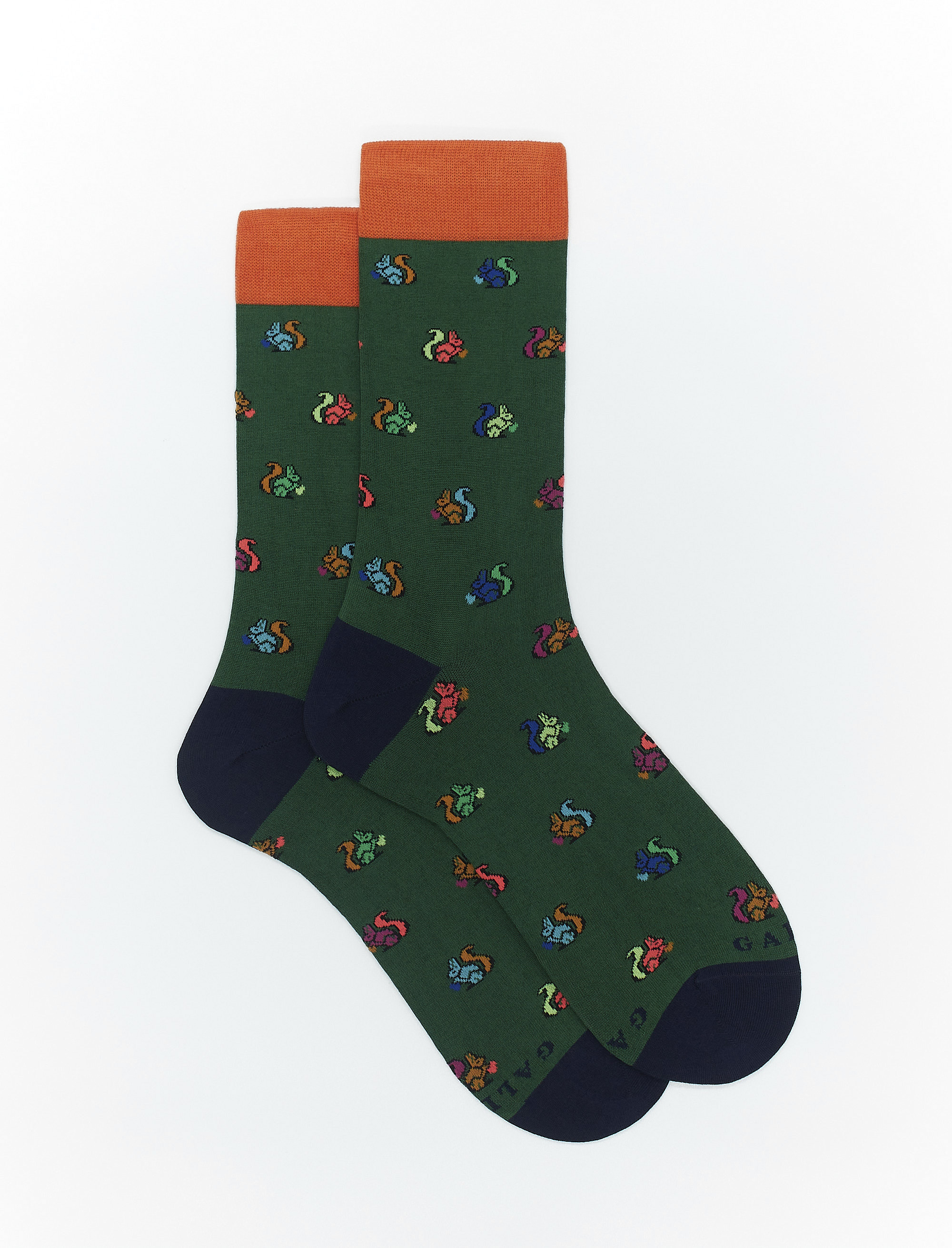 Women's short billiard green light cotton socks with squirrel motif - Gallo 1927 - Official Online Shop