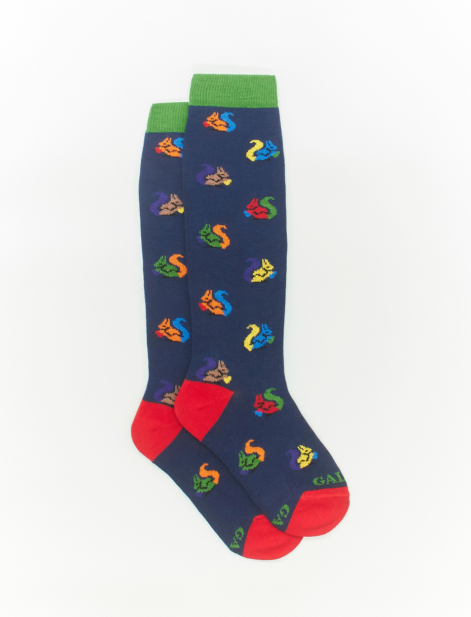 Kids' long royal blue cotton socks with squirrel motif - Gallo 1927 - Official Online Shop