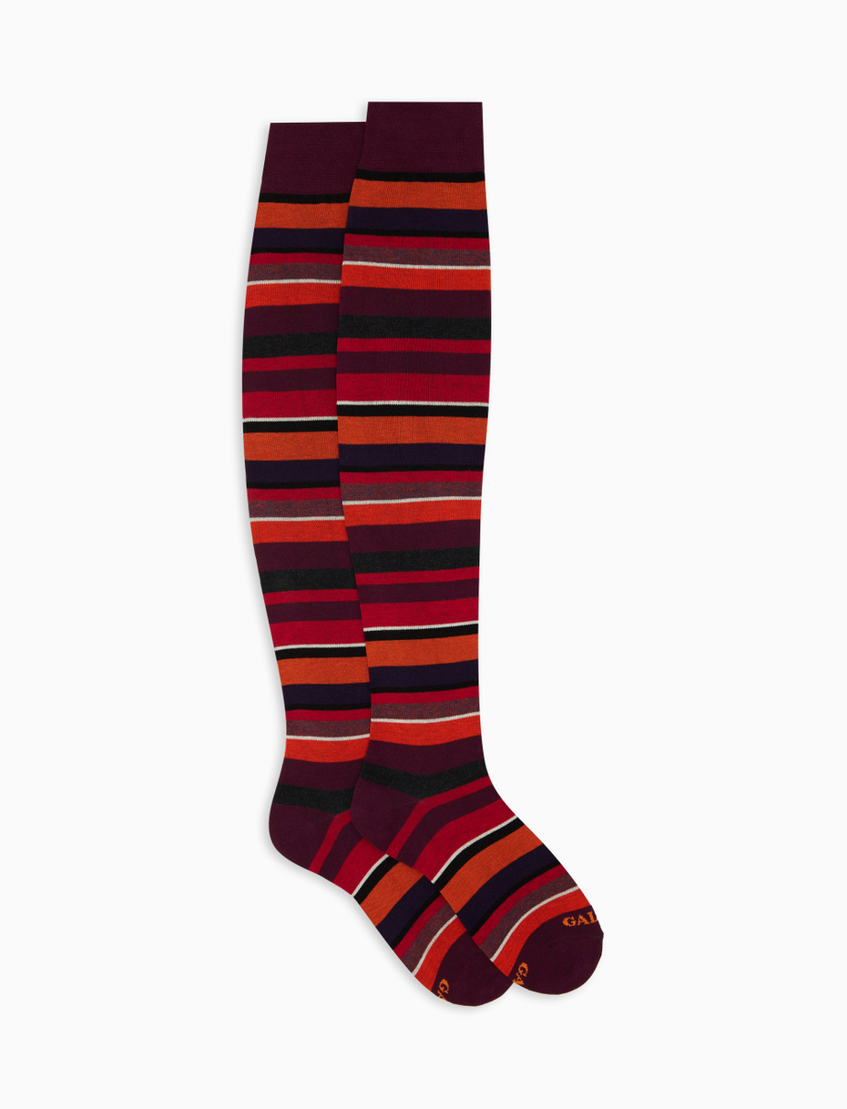 Women's burgundy thigh-high socks with multicoloured stripes - Gallo 1927 - Official Online Shop
