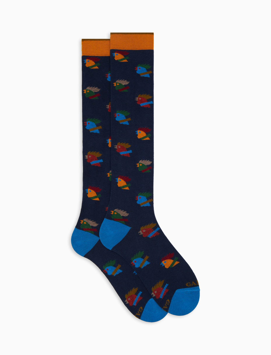Calze lunghe uomo cotone blu fantasia galli multicolore - Gallo 1927 - Official Online Shop