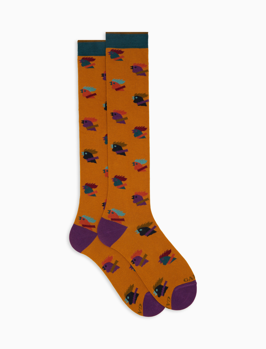 Men’s long yellow cotton socks with multicoloured hen motif - Gallo 1927 - Official Online Shop