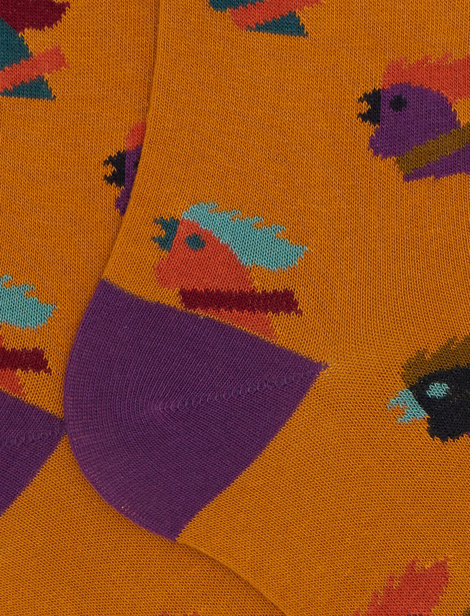 Men’s long yellow cotton socks with multicoloured hen motif - Gallo 1927 - Official Online Shop