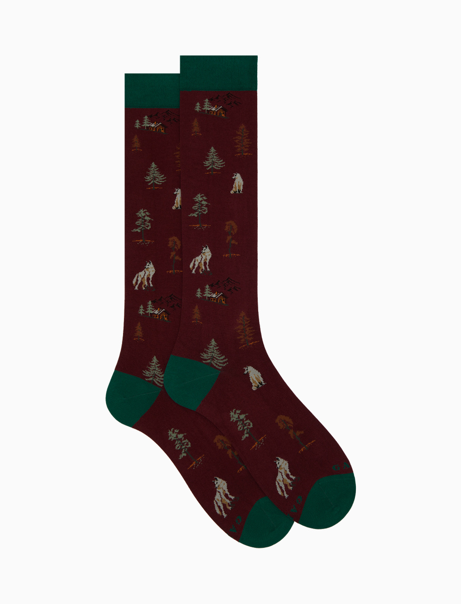 Men’s long burgundy cotton socks with wolves in the forest motif - Gallo 1927 - Official Online Shop