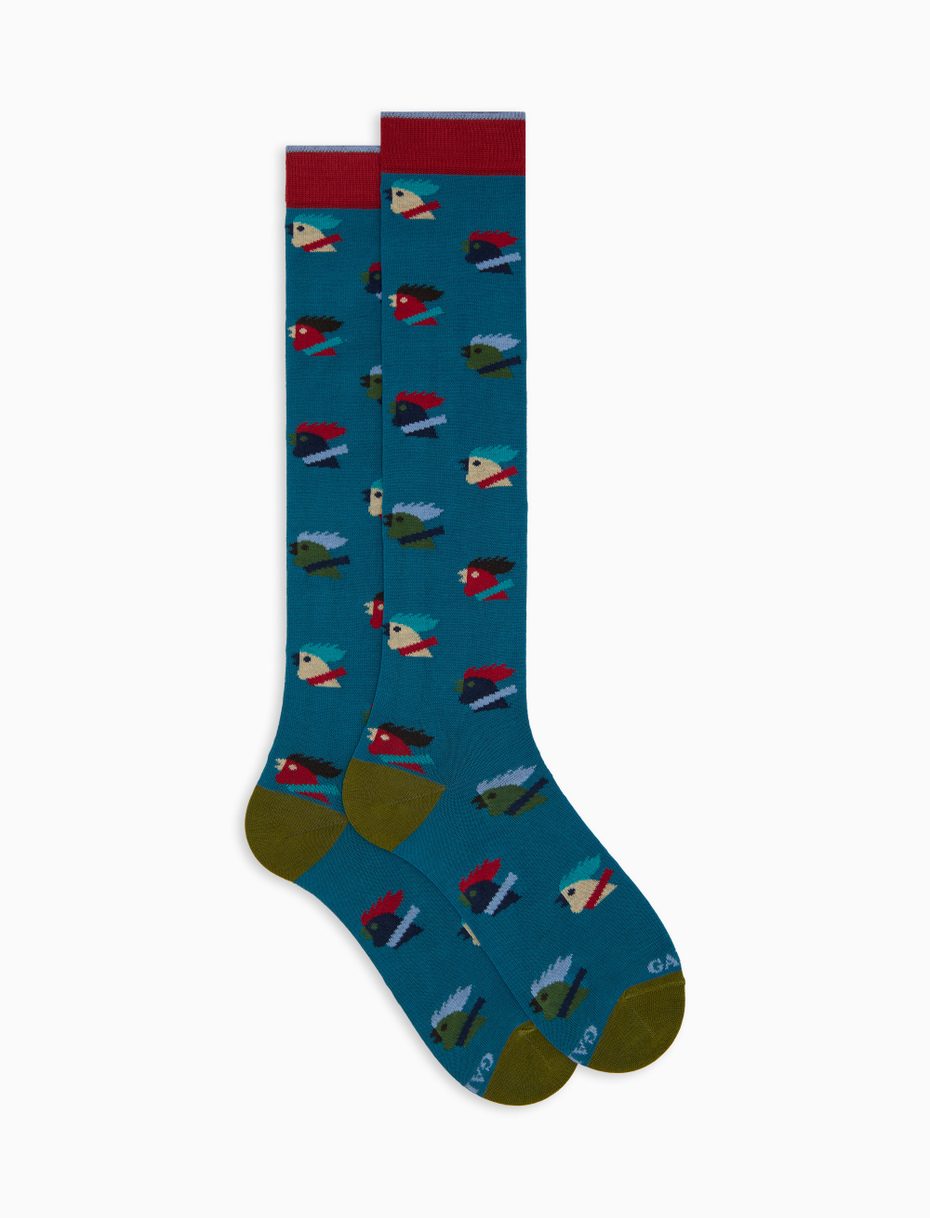 Men's long light blue cotton socks with multicoloured rooster motif - Gallo 1927 - Official Online Shop