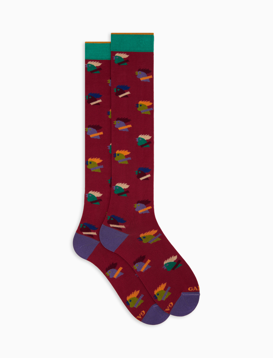 Women's long red cotton socks with multicoloured rooster motif - Gallo 1927 - Official Online Shop