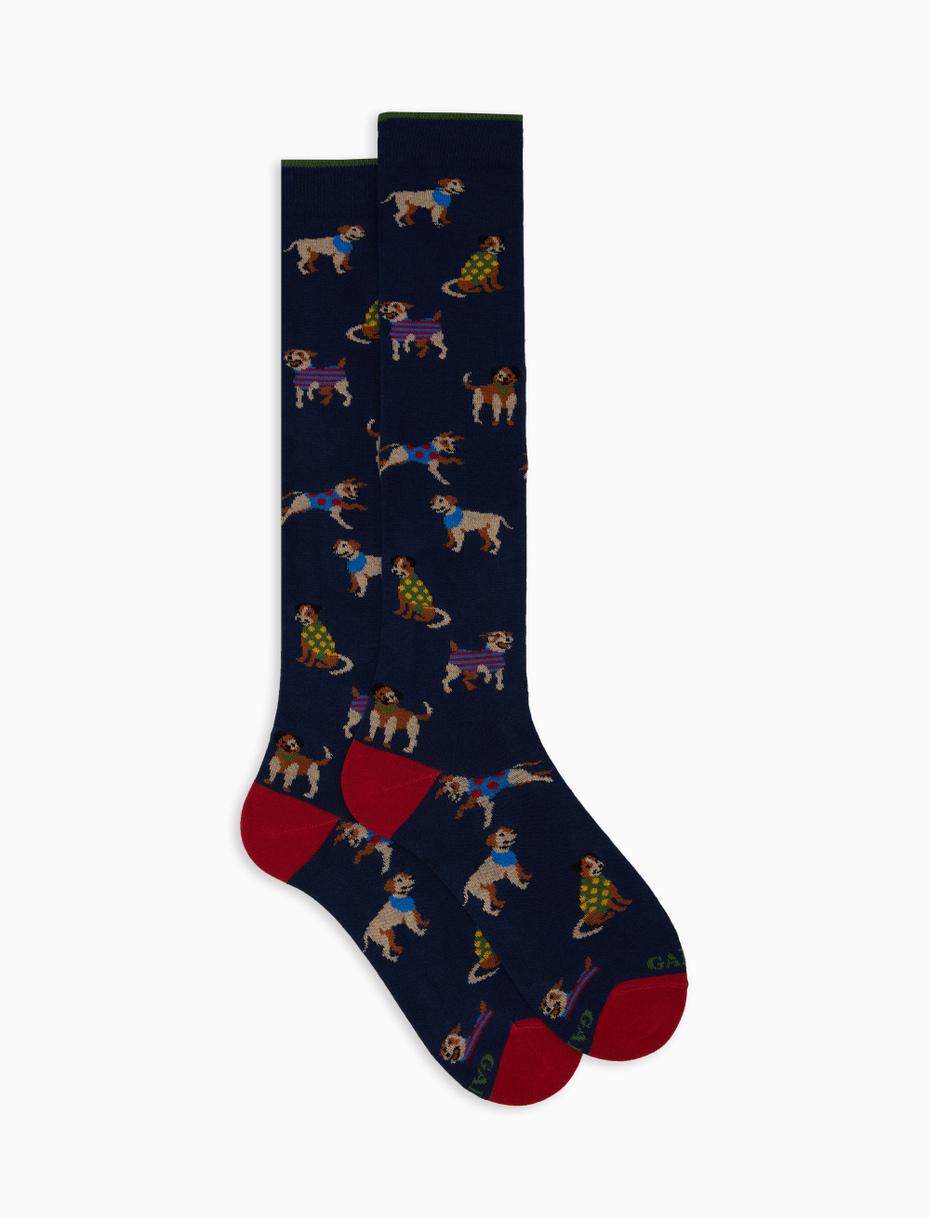 Men's long blue cotton socks with dog motif - Gallo 1927 - Official Online Shop