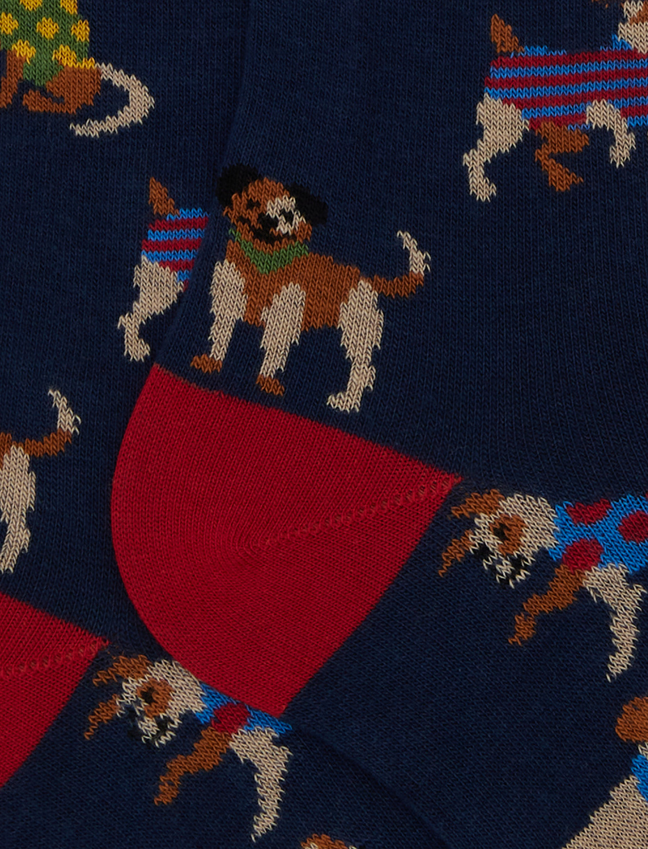 Men's long blue cotton socks with dog motif - Gallo 1927 - Official Online Shop