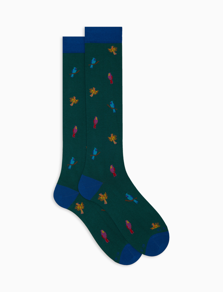 Men's long green cotton socks with woodpecker motif - Gallo 1927 - Official Online Shop