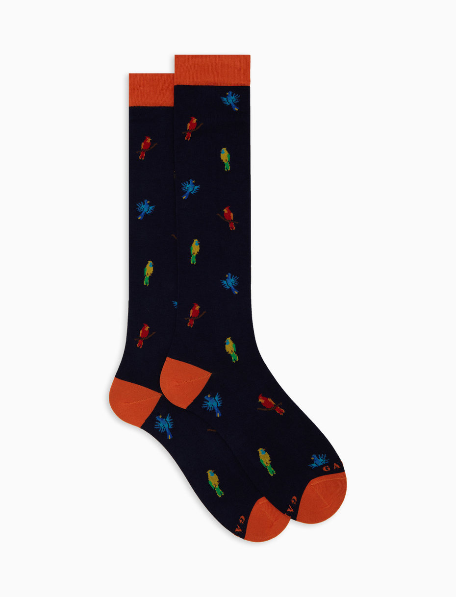 Calze lunghe donna cotone blu fantasia picchio - Gallo 1927 - Official Online Shop