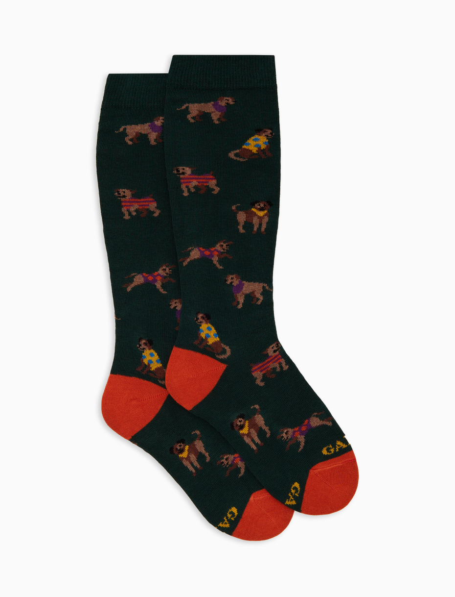 Calze lunghe bambino cotone verde fantasia cani - Gallo 1927 - Official Online Shop