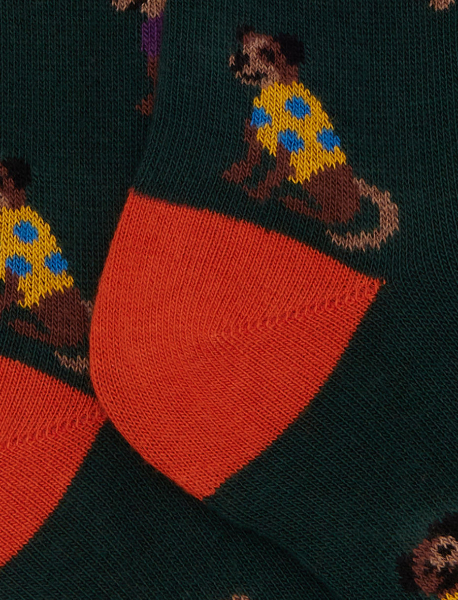 Calze lunghe bambino cotone verde fantasia cani - Gallo 1927 - Official Online Shop