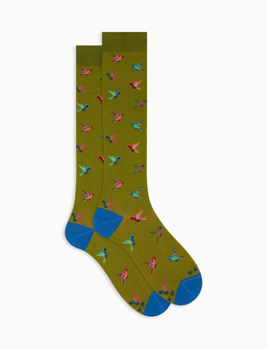 Women's long cotton socks with green parrot pattern - Gallo 1927 - Official Online Shop