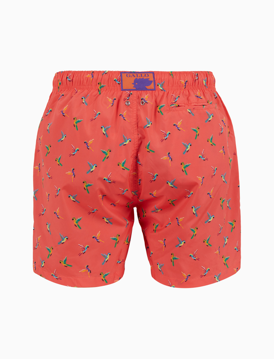 Men's pink swimming shorts with parrot pattern - Gallo 1927 - Official Online Shop