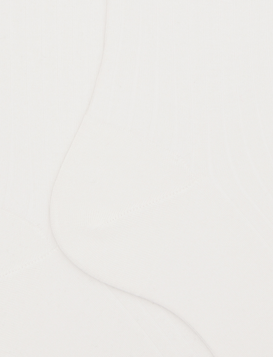 Men's white short cotton ribbed socks with solid color - Gallo 1927 - Official Online Shop