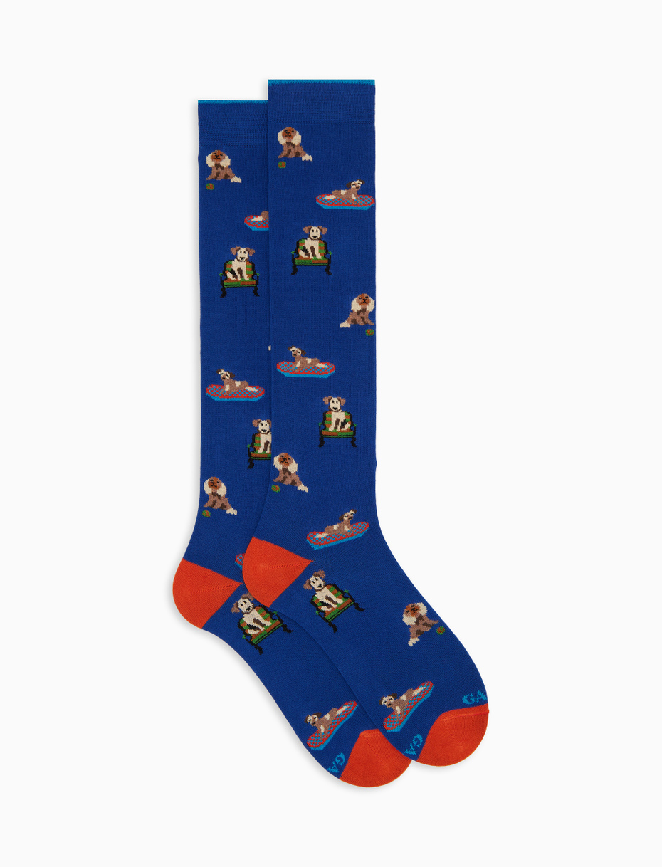 Men's long socks in blue cotton with dog pattern - Gallo 1927 - Official Online Shop