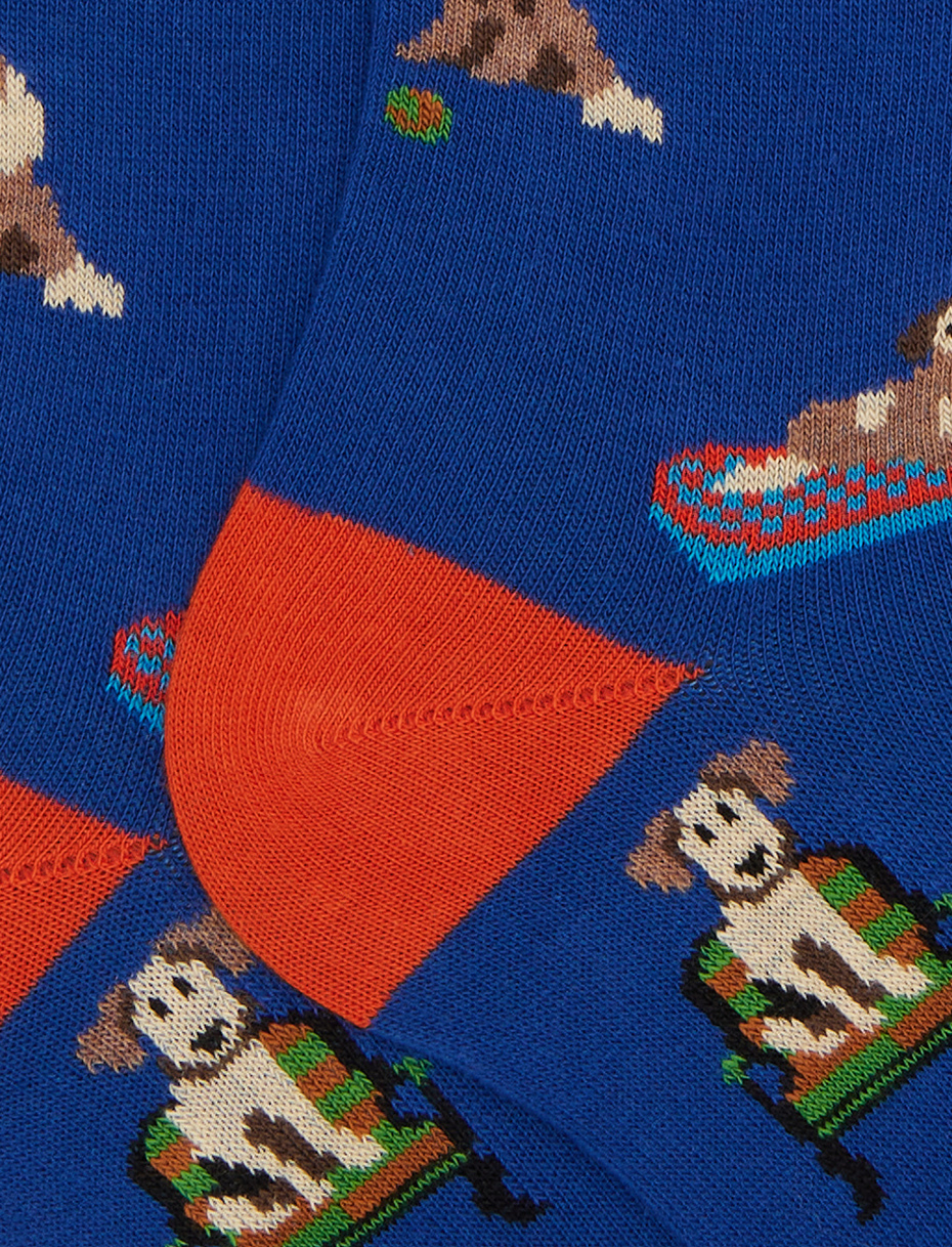 Men's long socks in blue cotton with dog pattern - Gallo 1927 - Official Online Shop